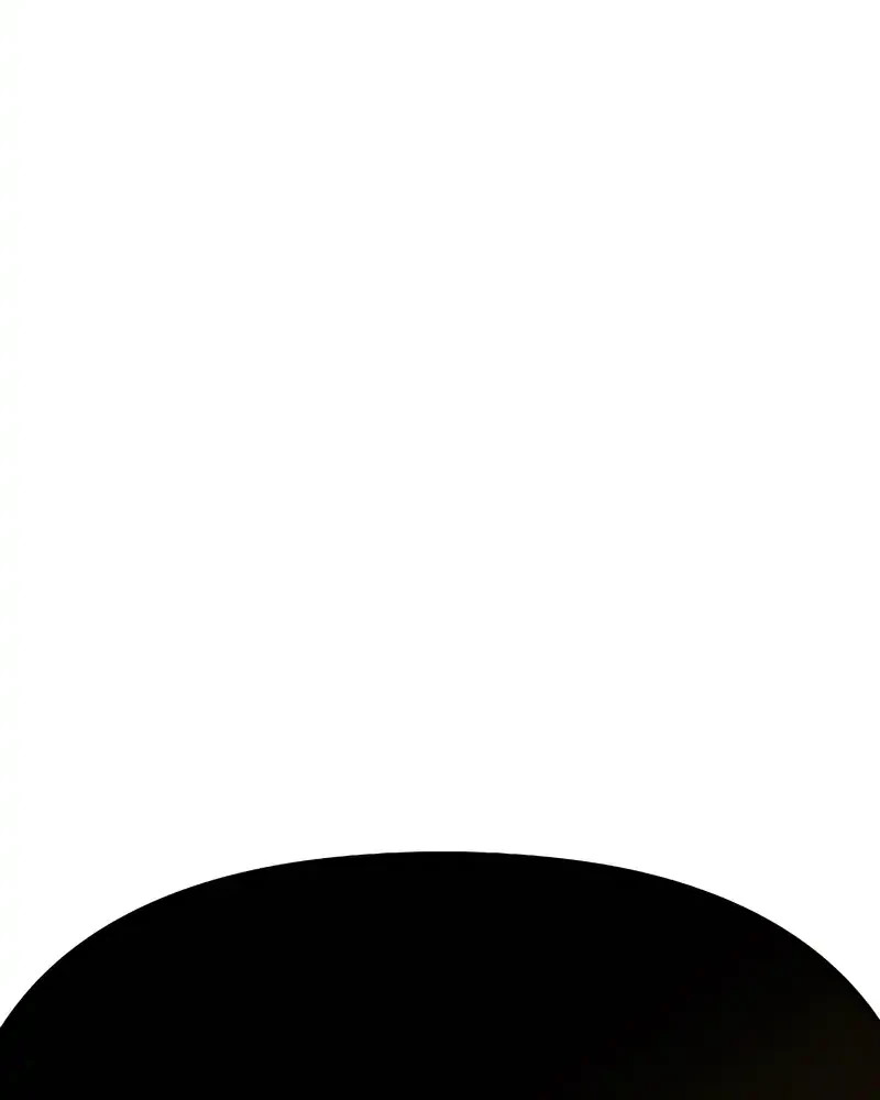 Page 221