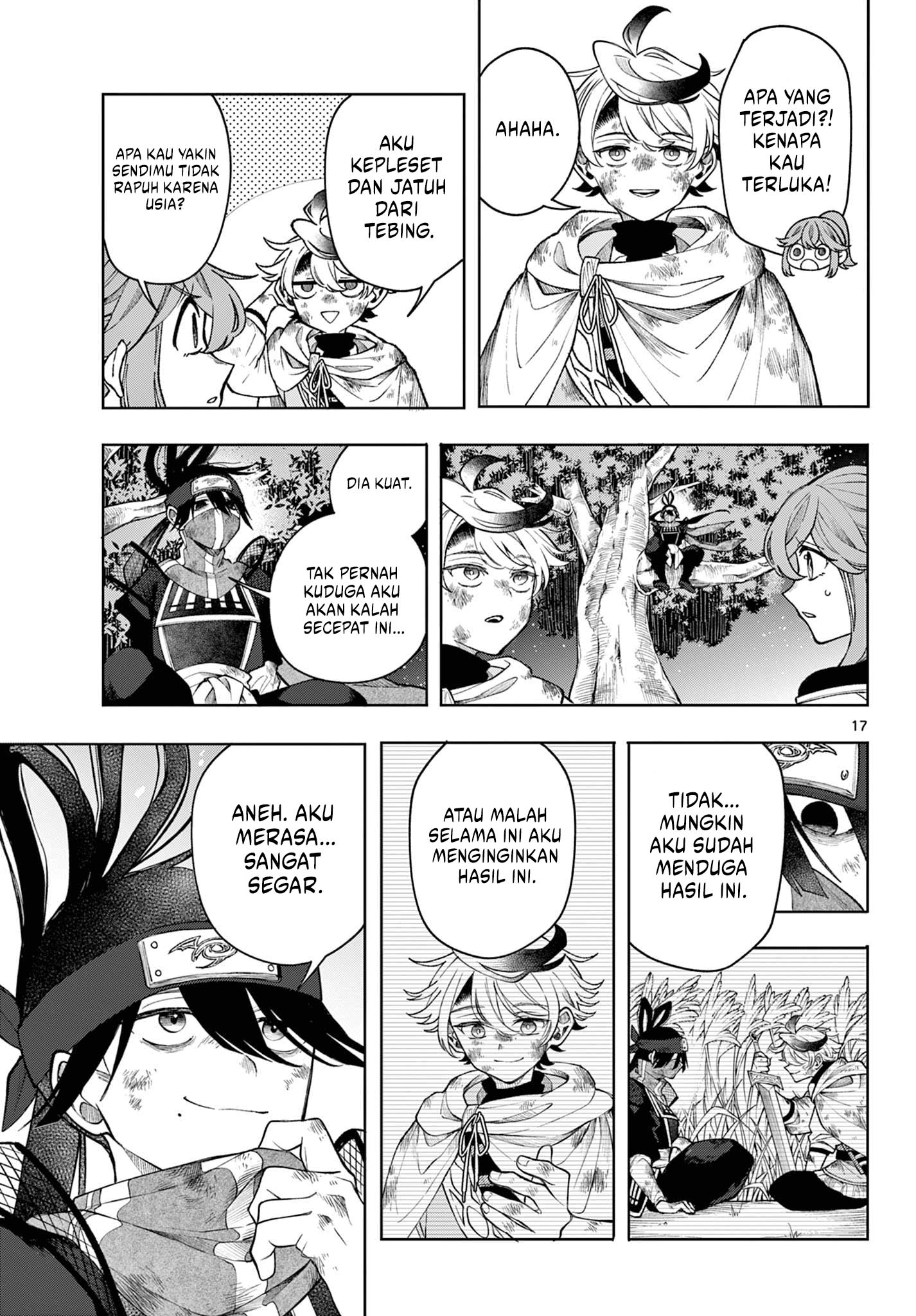 Page 17
