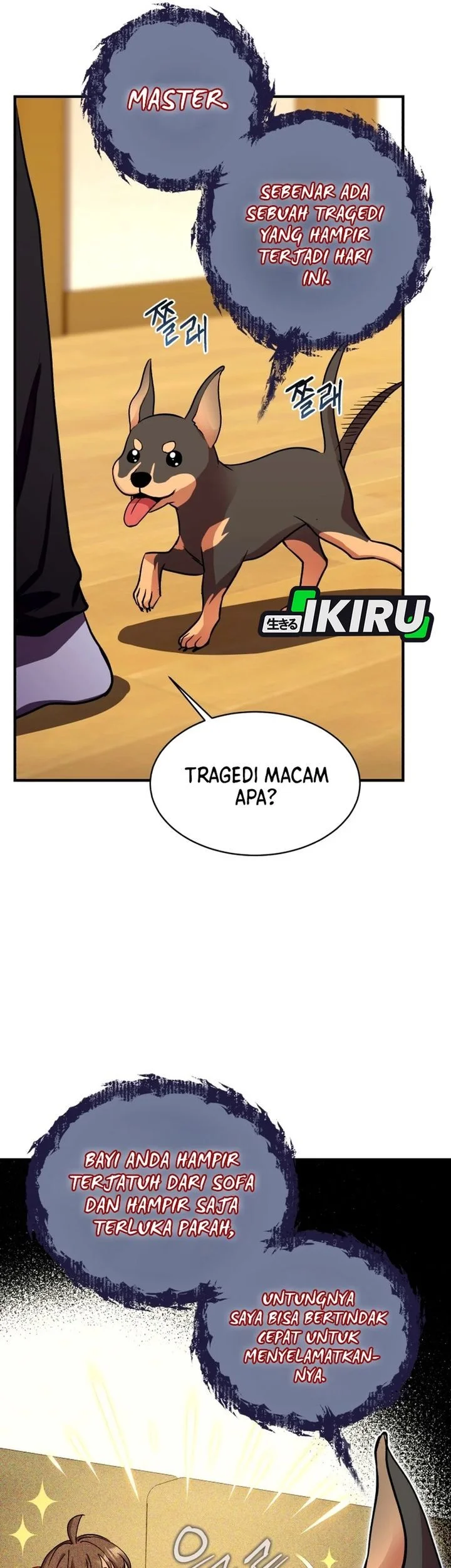Page 51