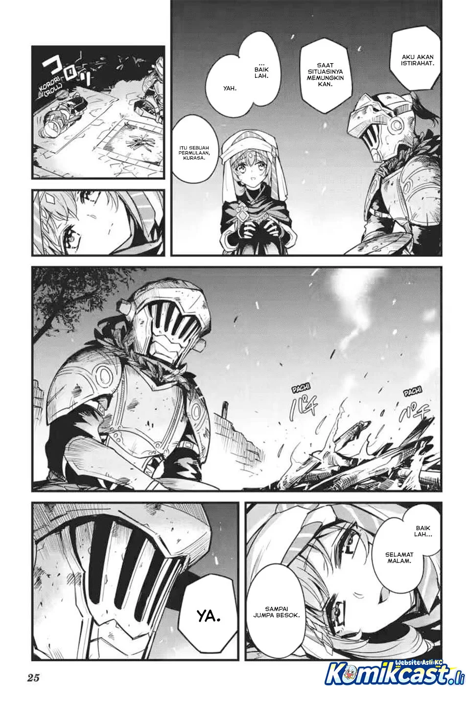 Page 25