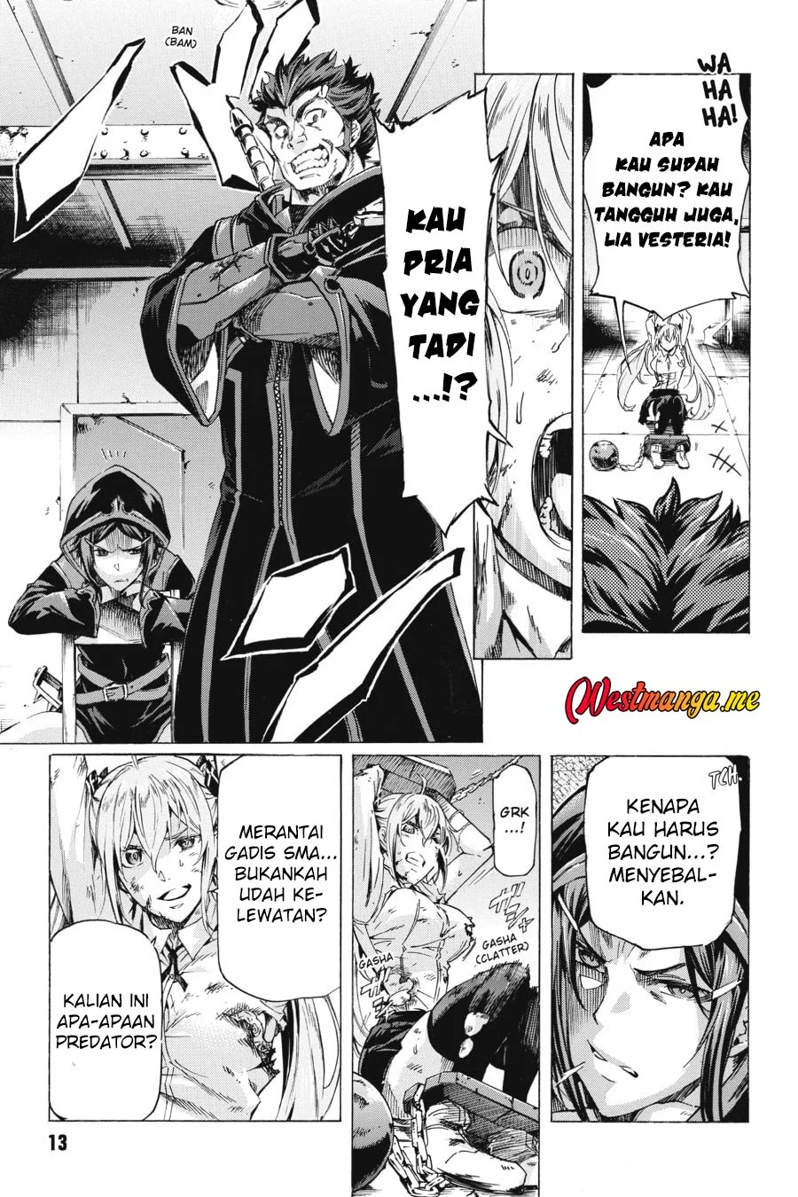 Page 13