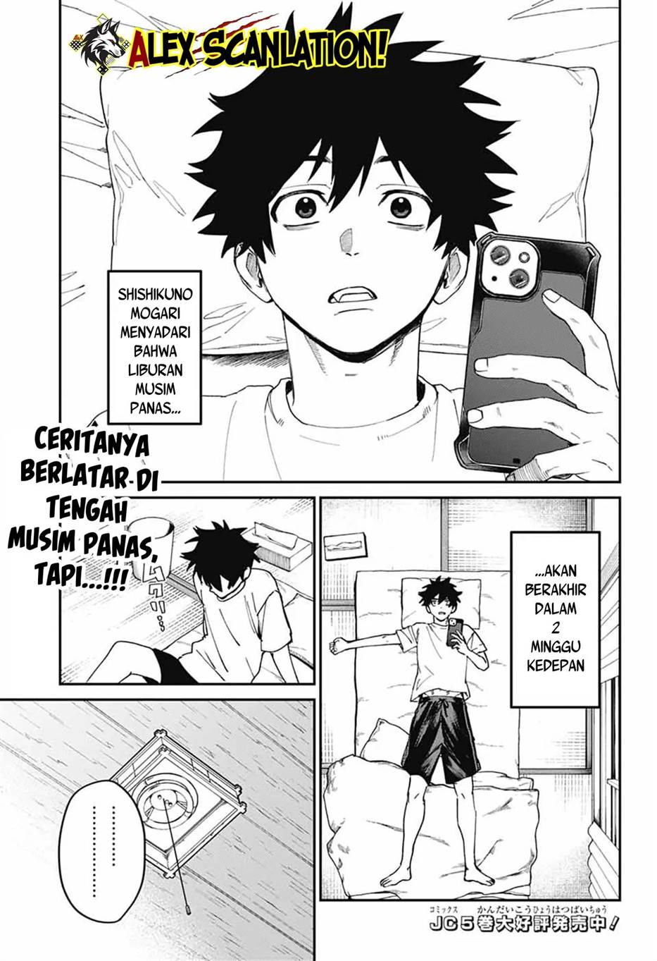 Page 5
