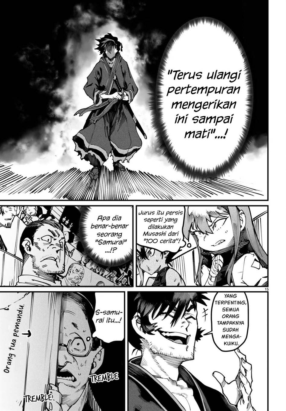 Page 15