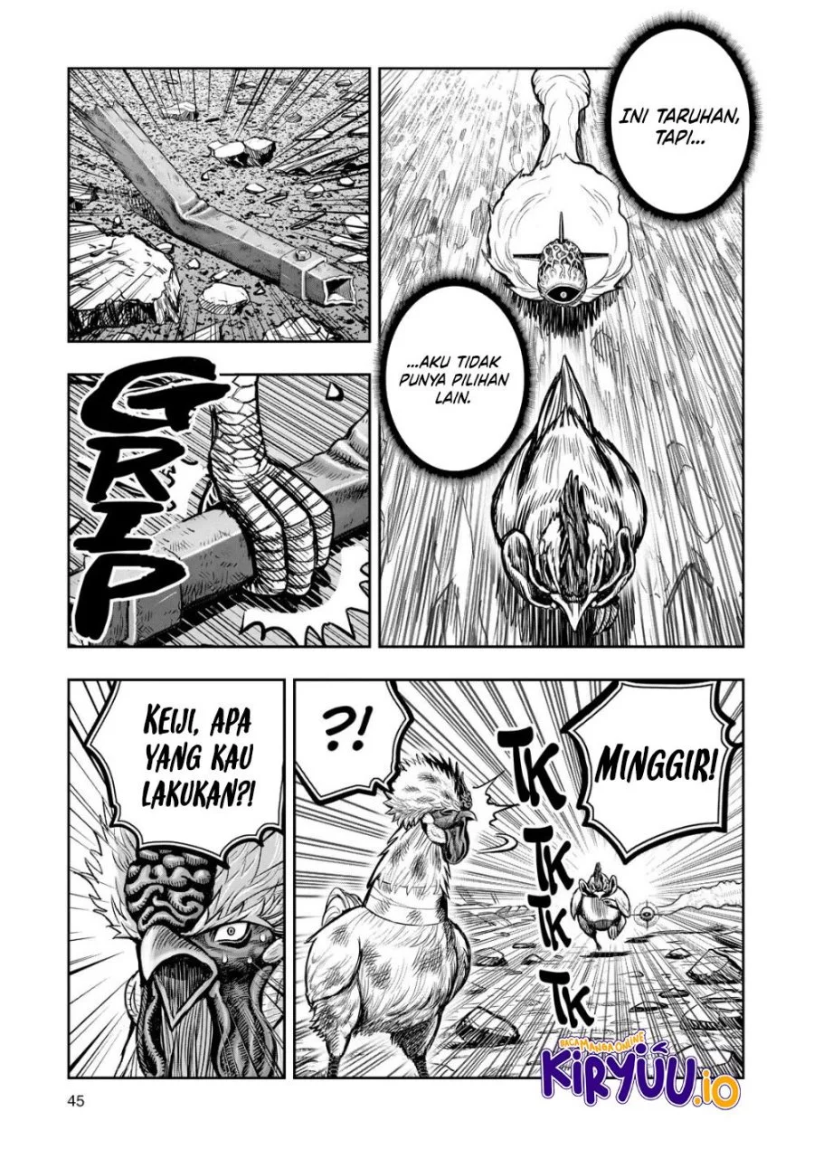 Page 43
