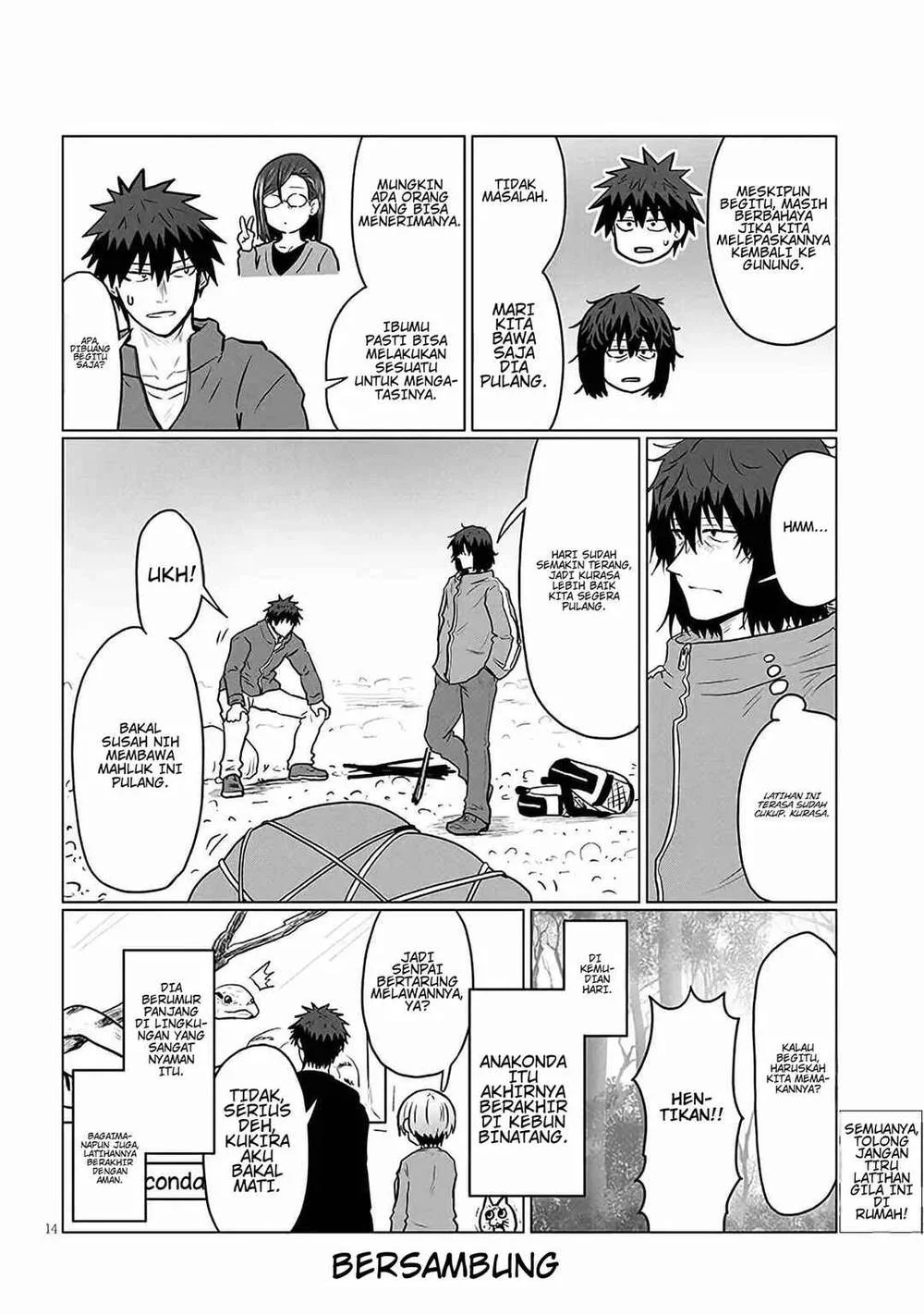 Page 14