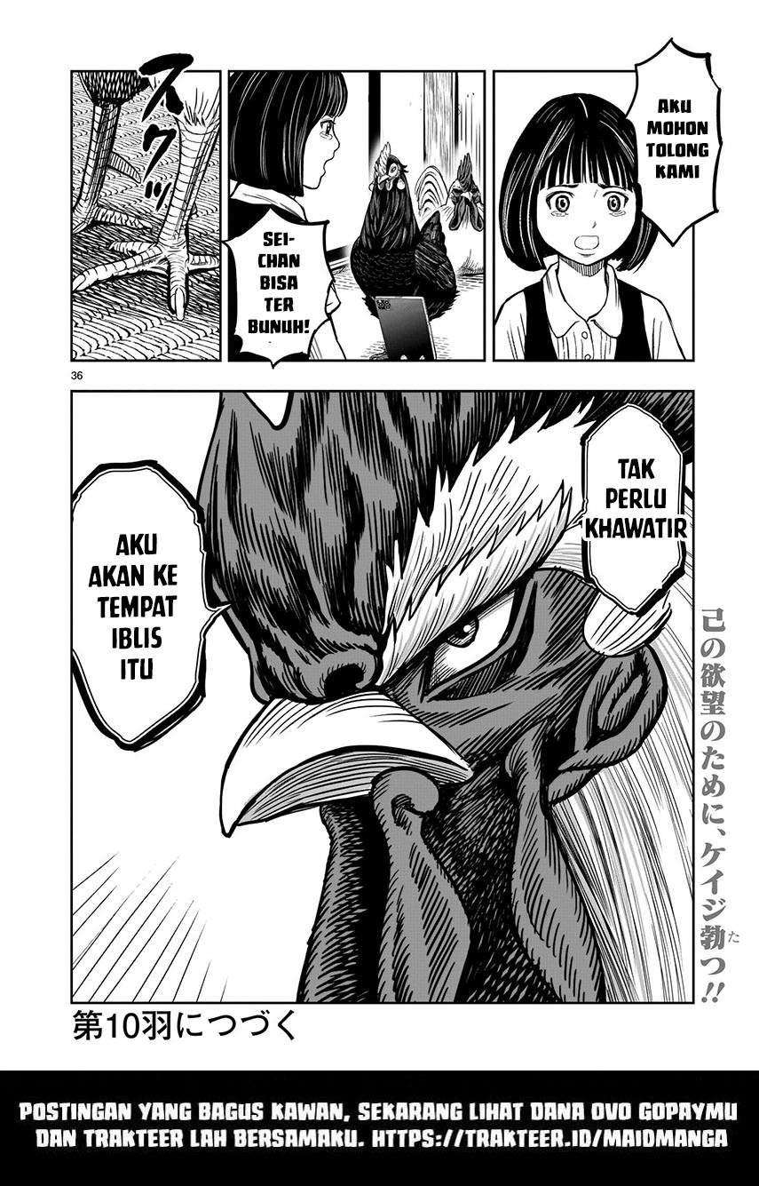 Page 37