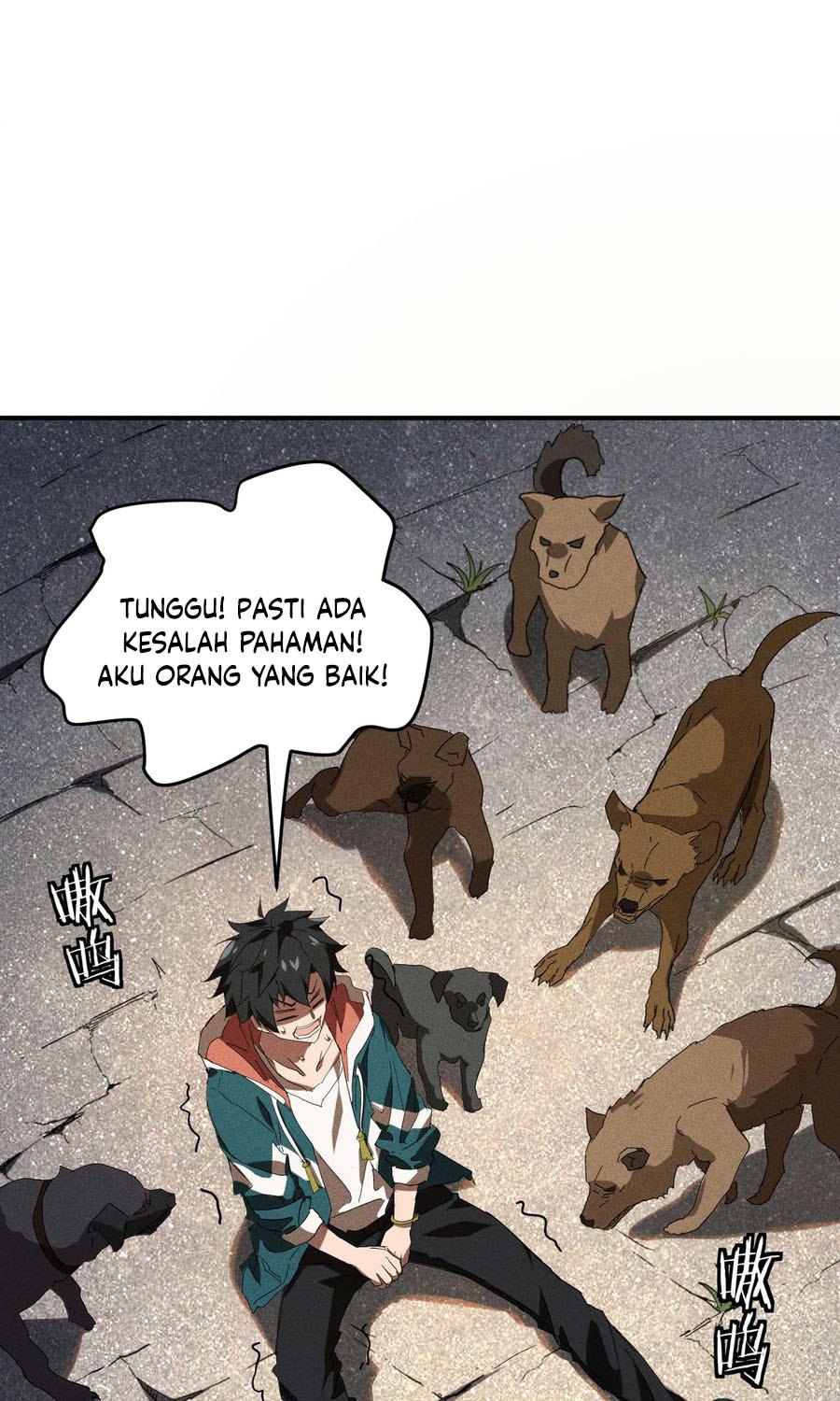 Page 41