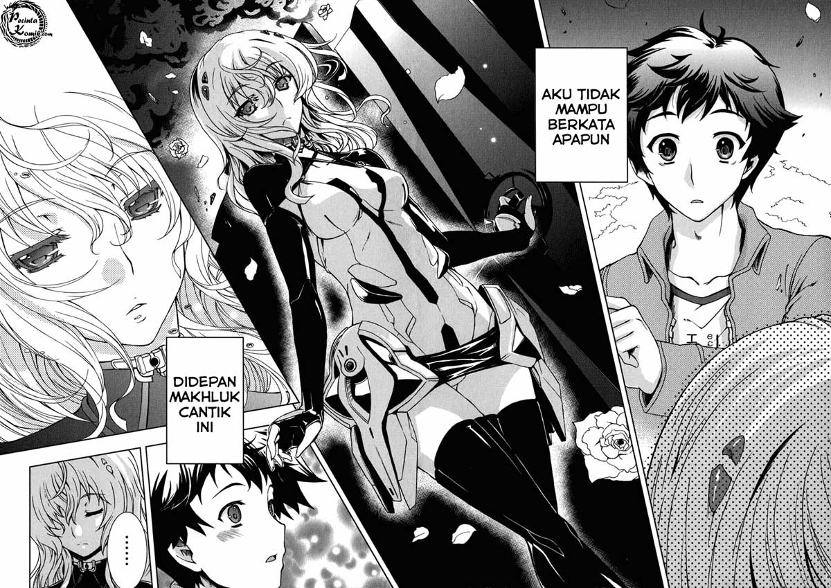Page 43