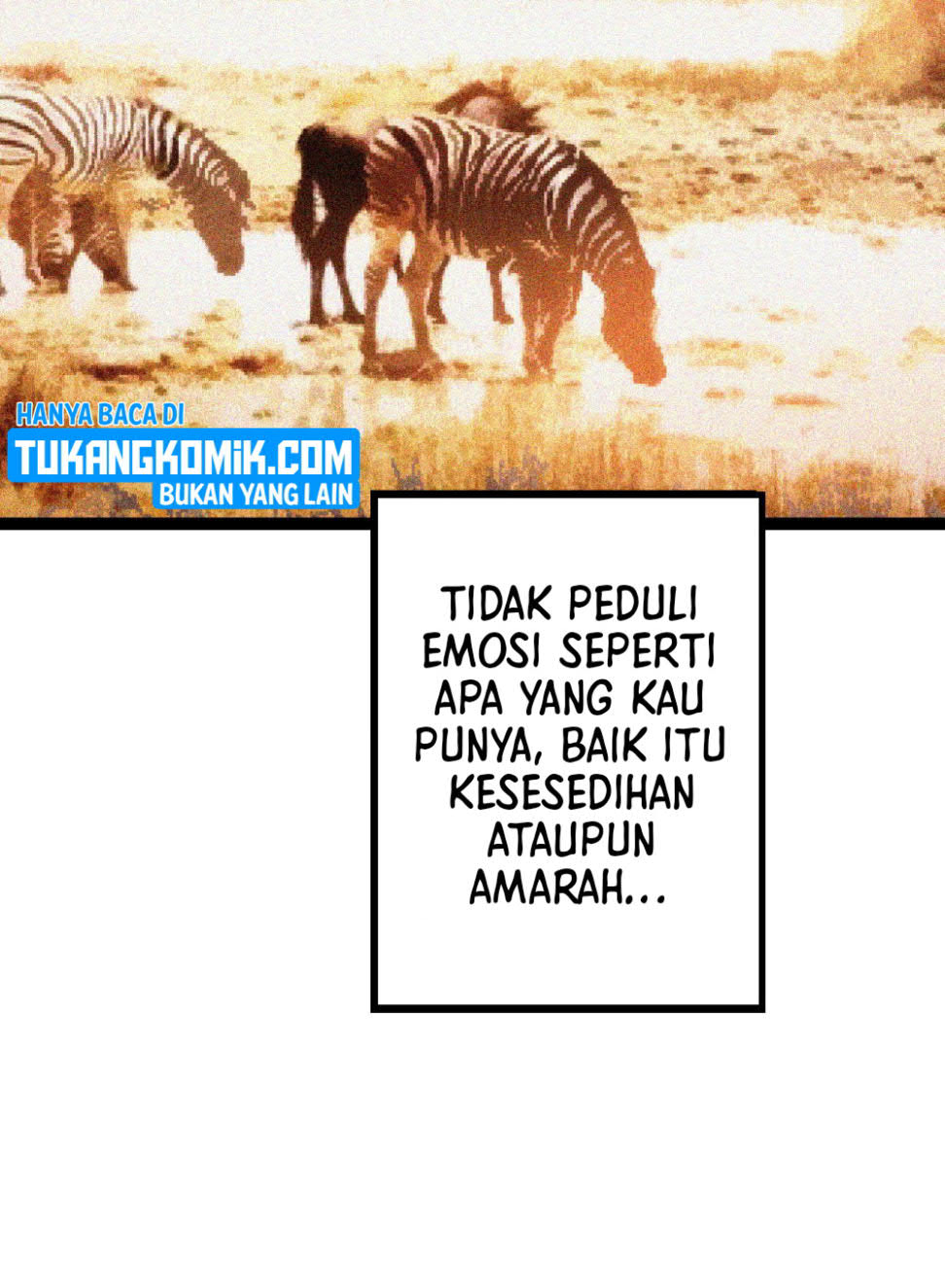 Page 236