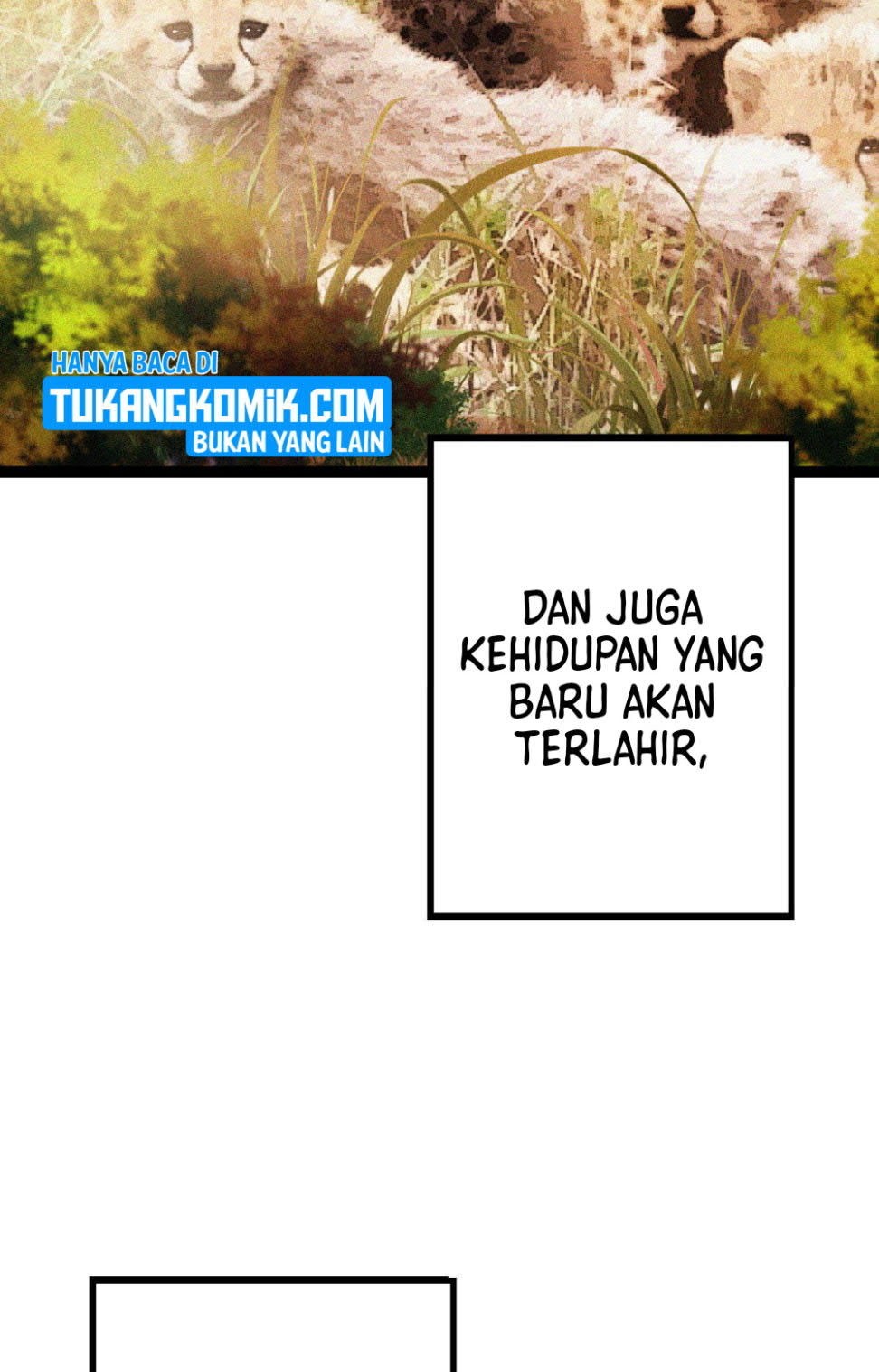 Page 242
