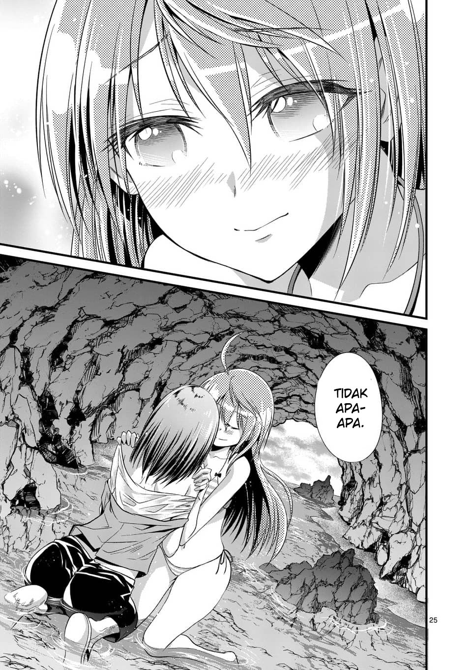 Page 25