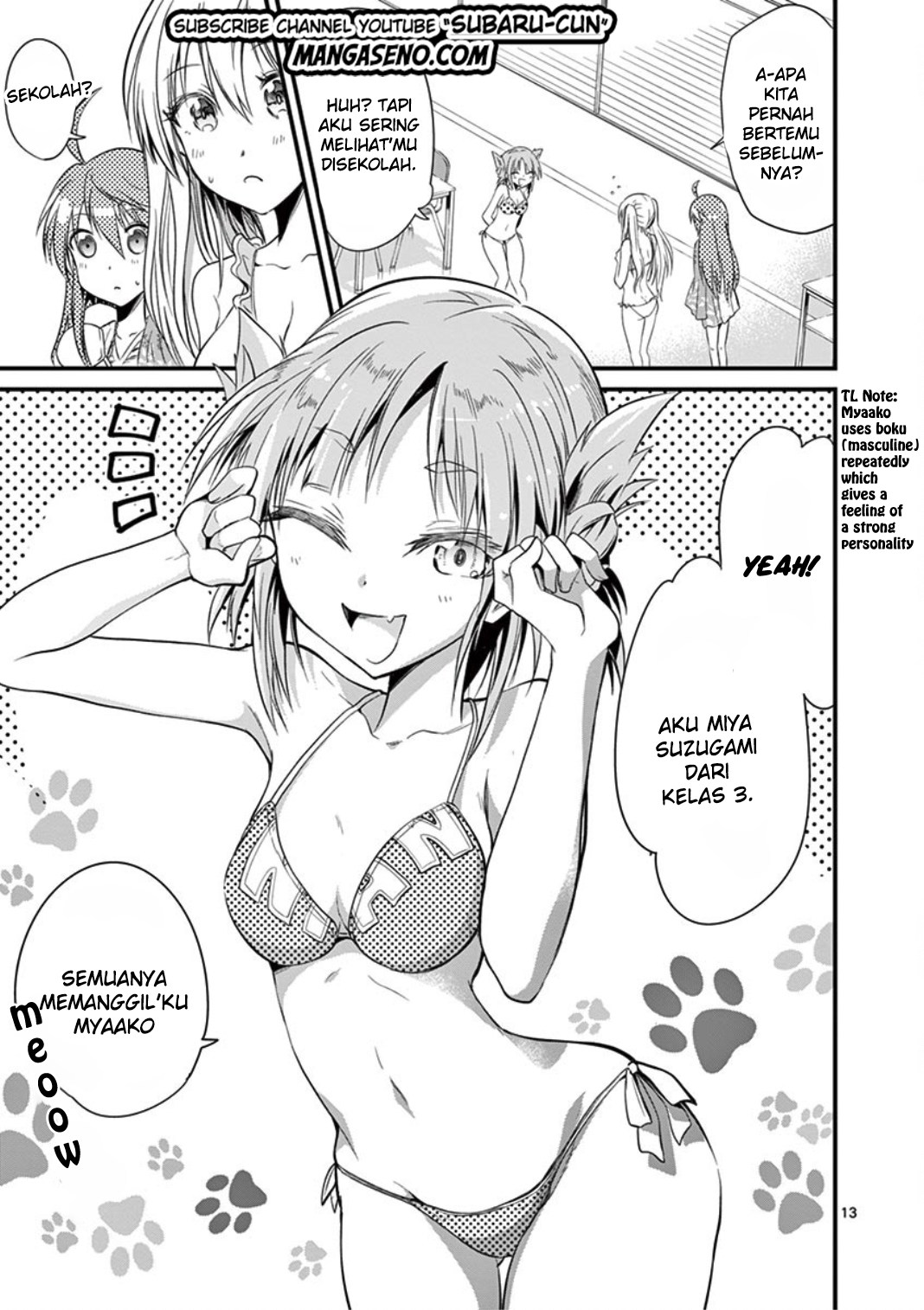Page 13