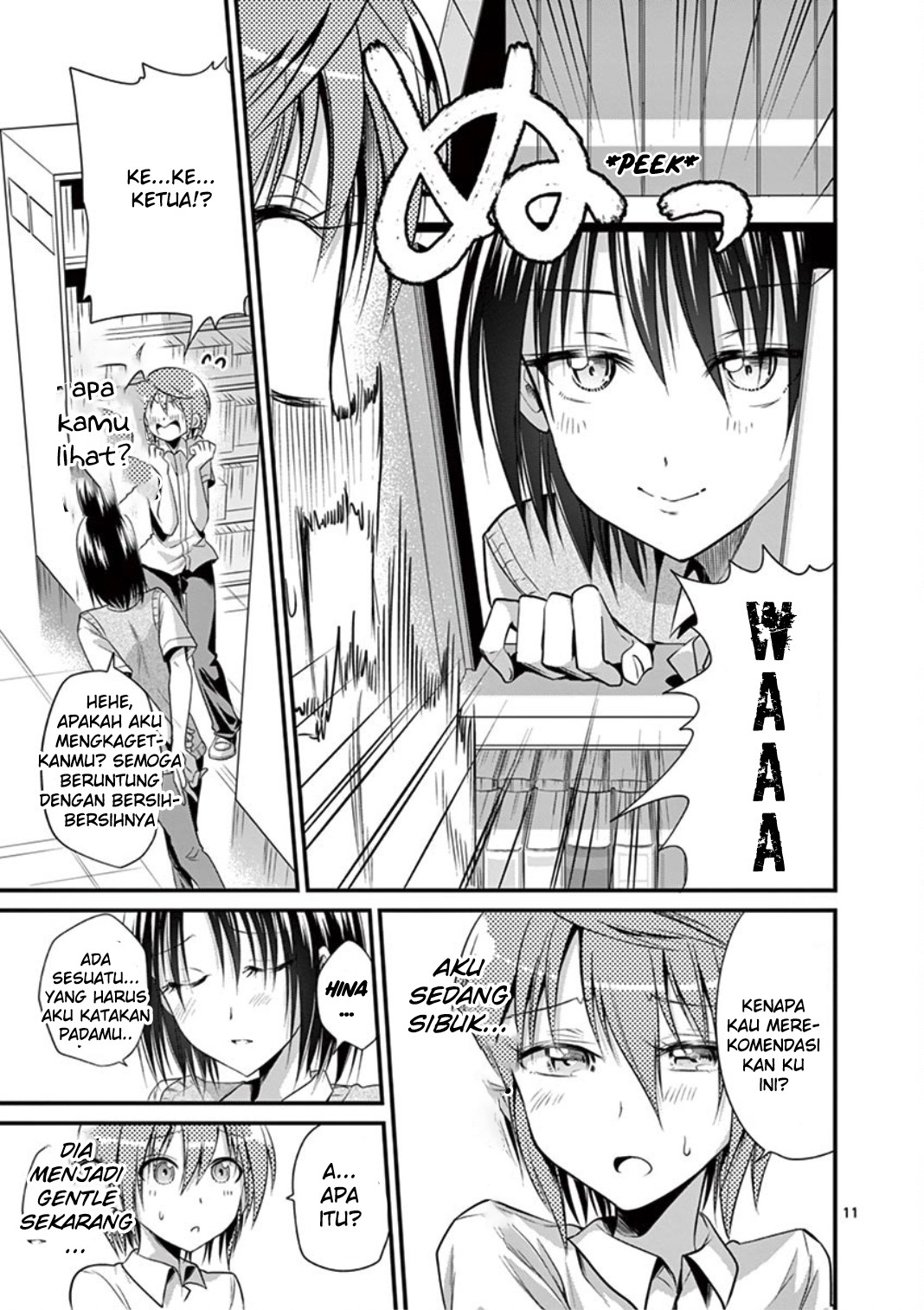Page 11
