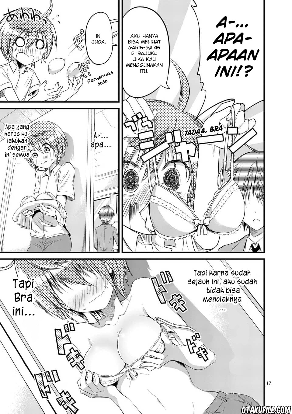 Page 17