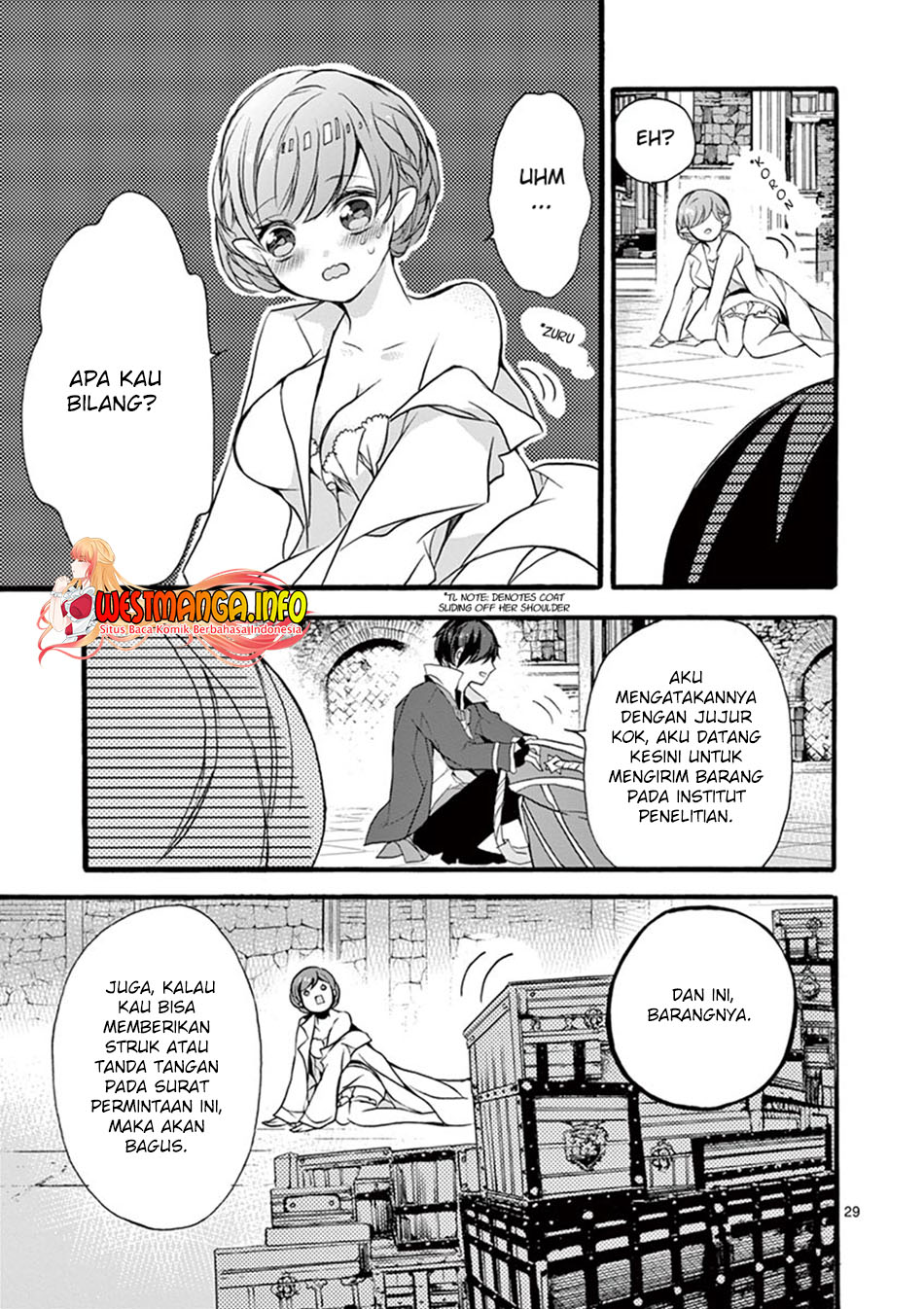 Page 29