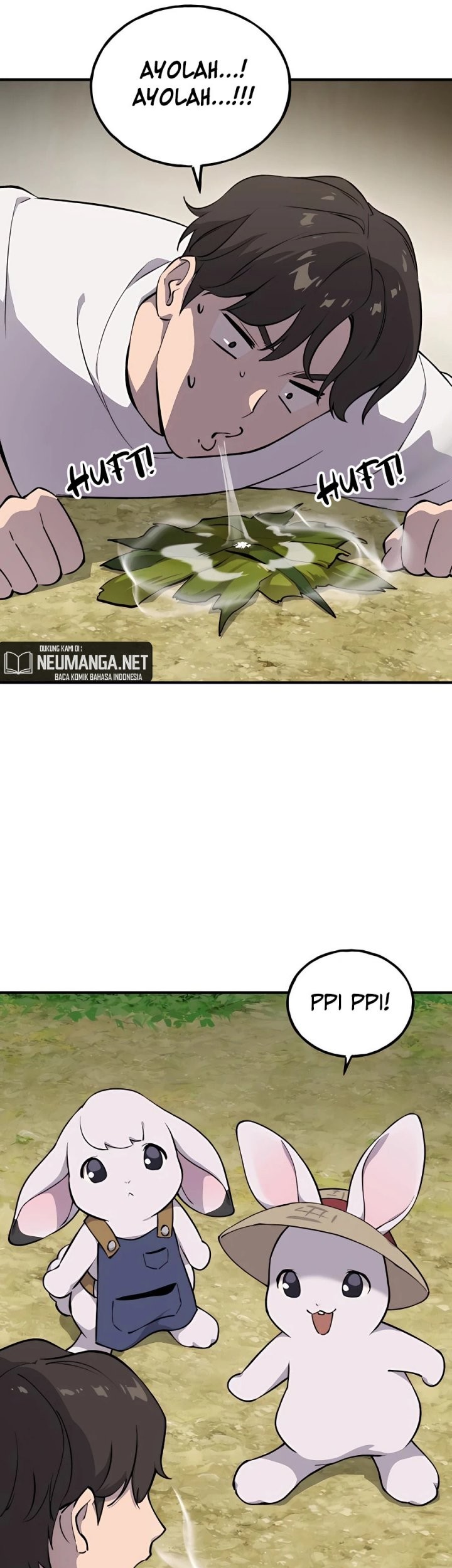 Page 51