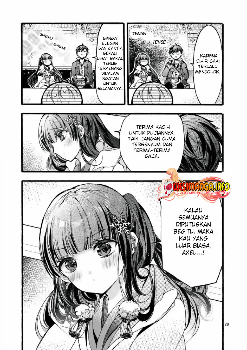 Page 29