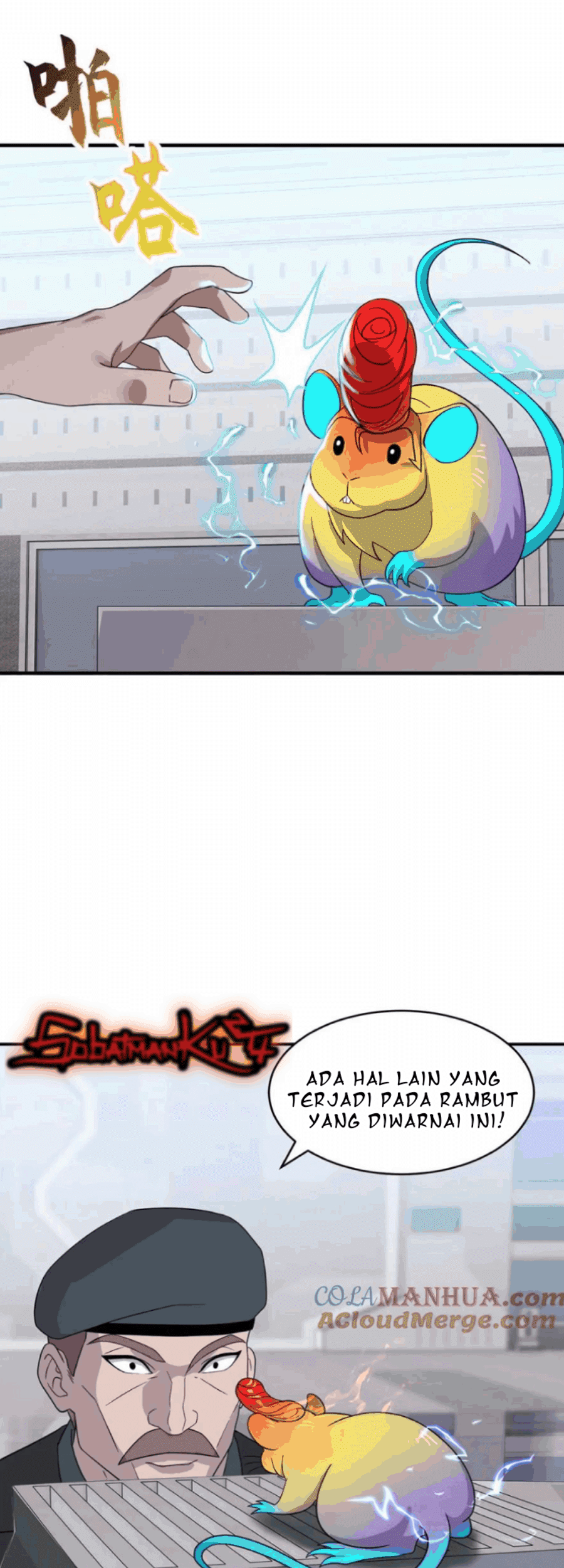 Page 31