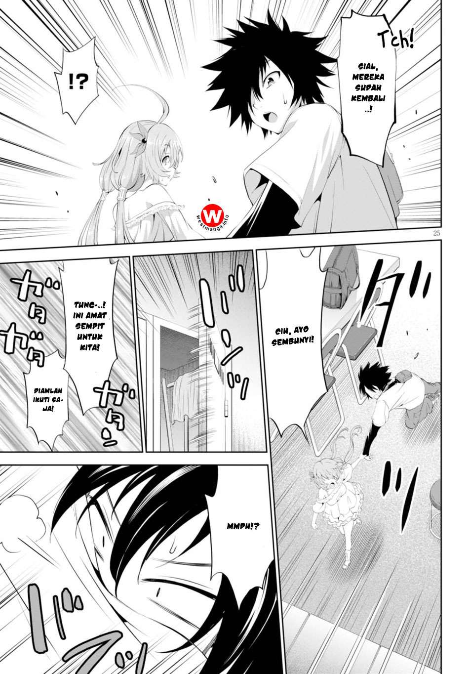 Page 25