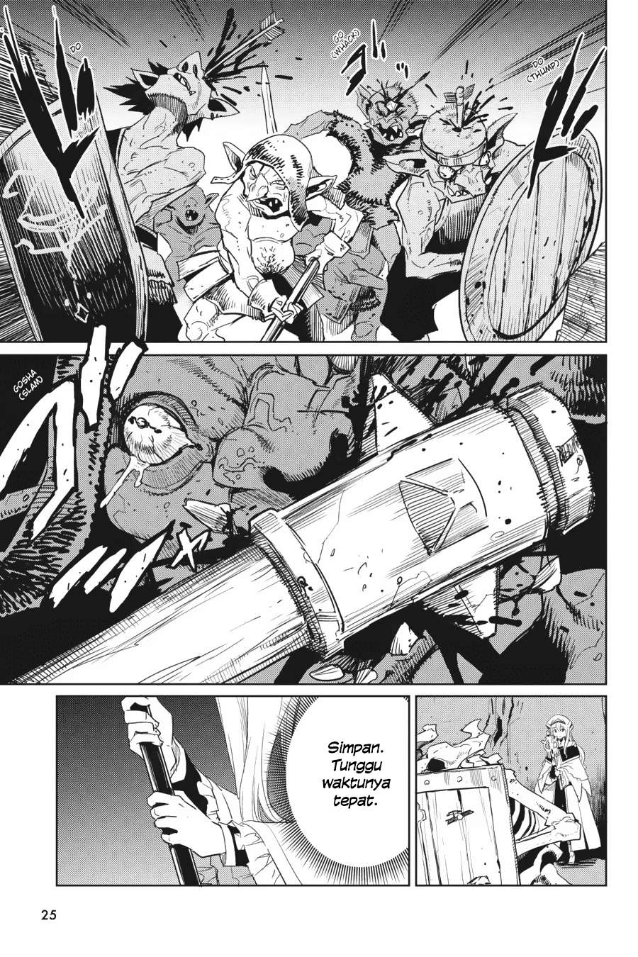Page 25