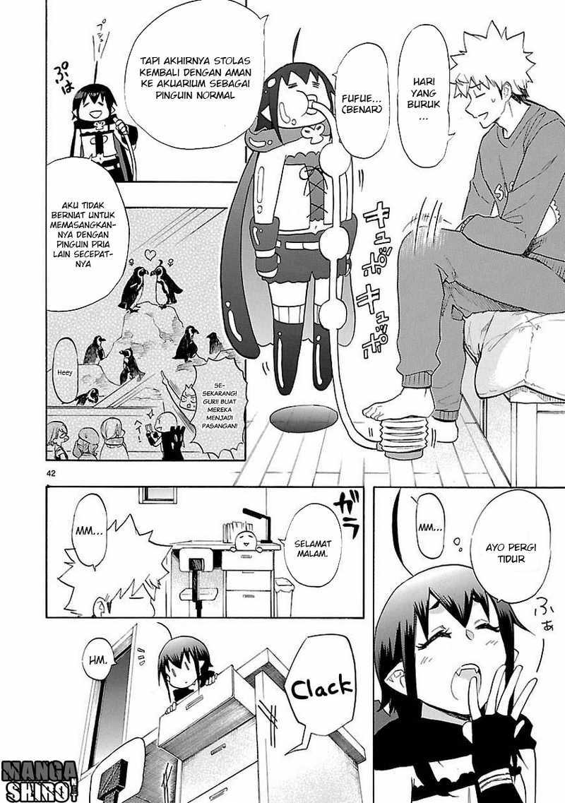 Page 43