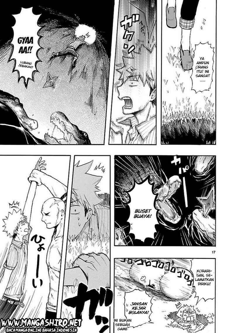 Page 17