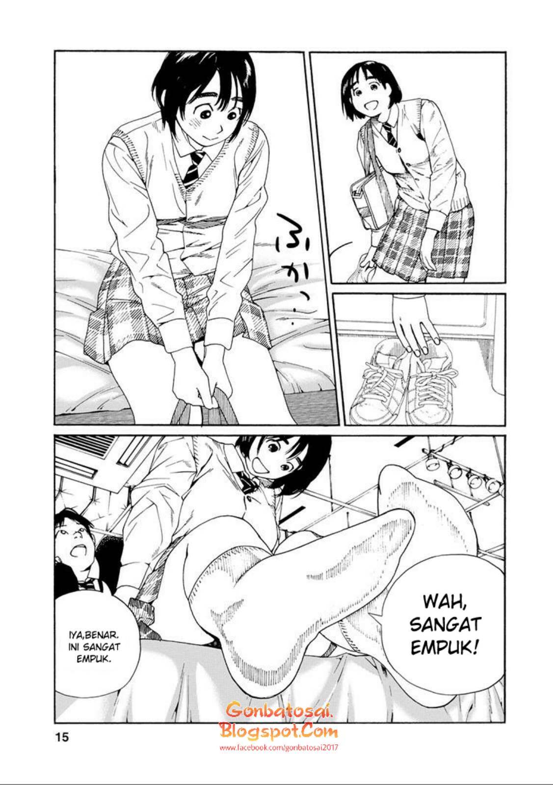 Page 15