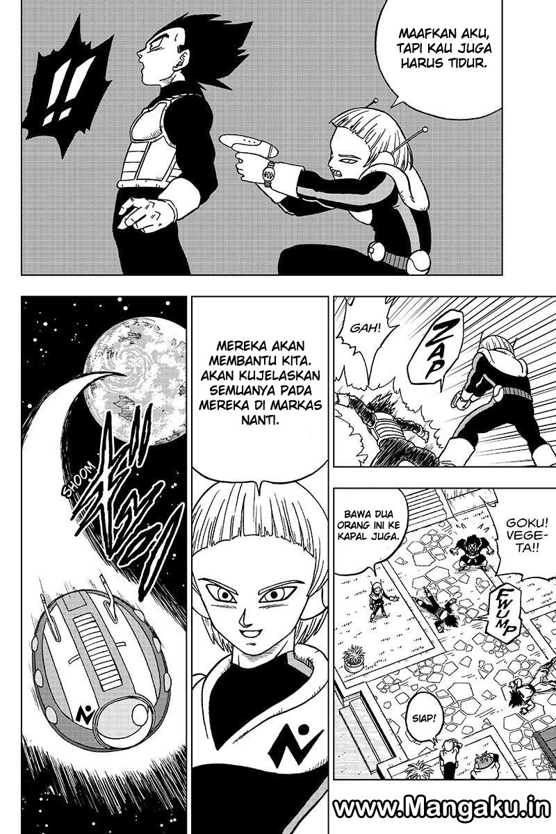 Page 43
