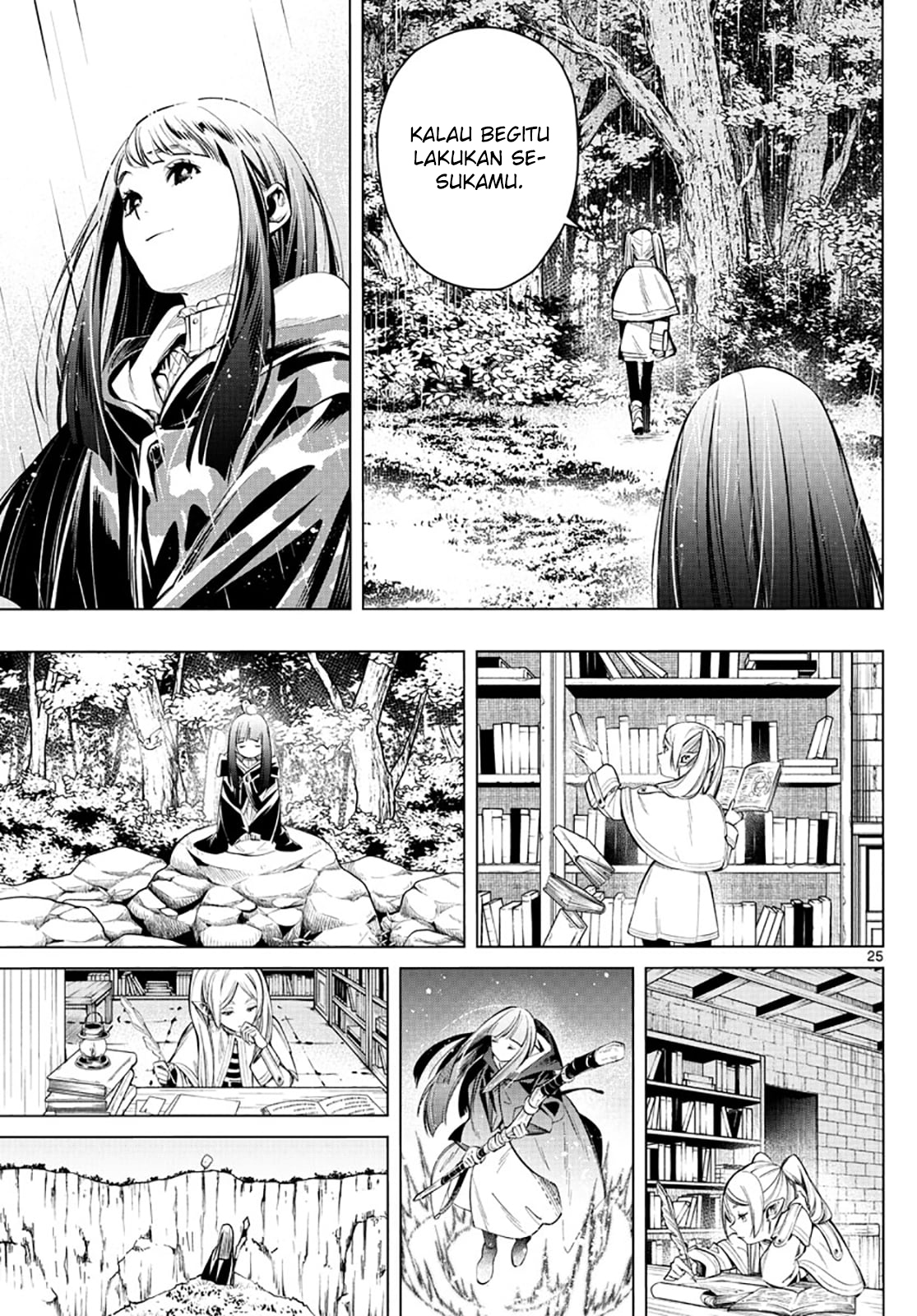 Page 25