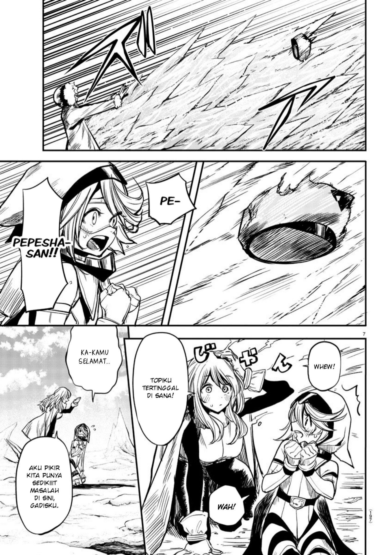 Page 7
