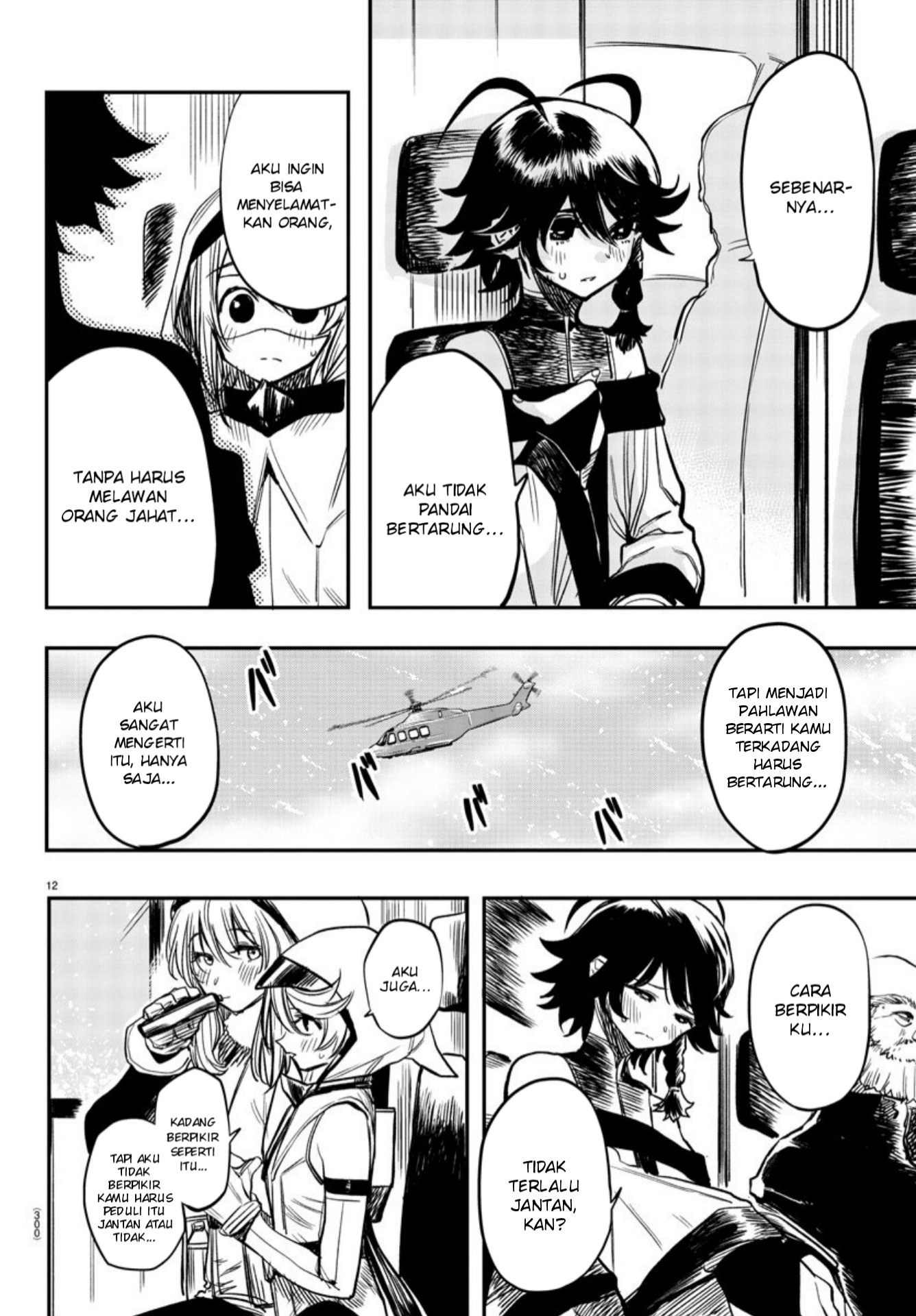 Page 12