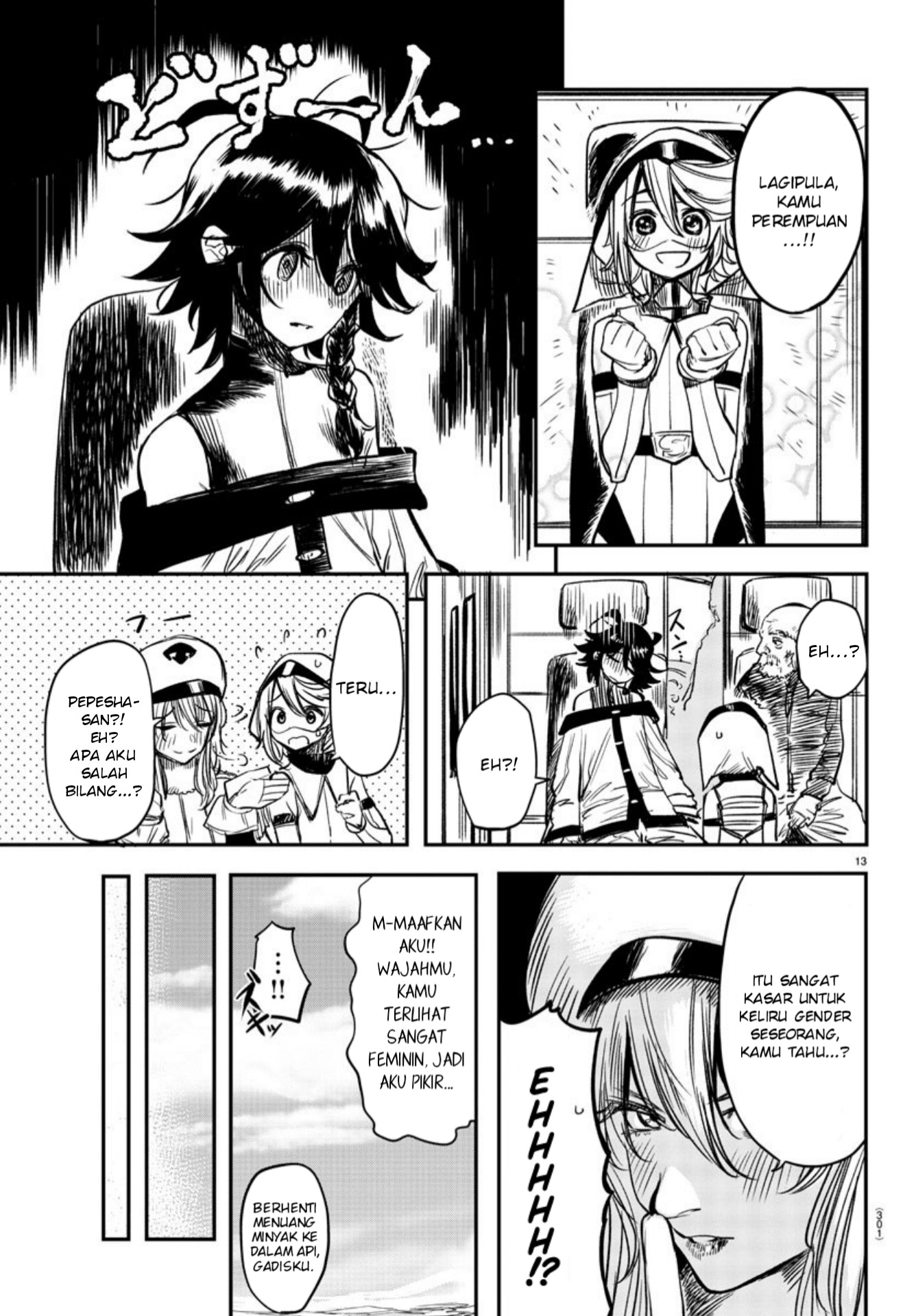 Page 13