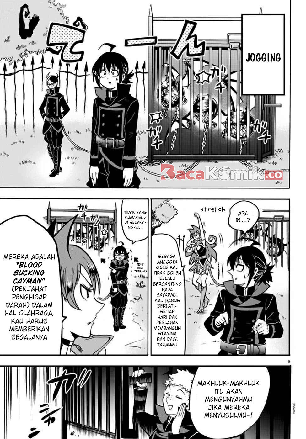 Page 5