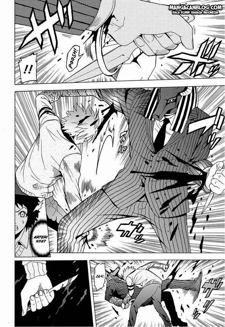 Page 43