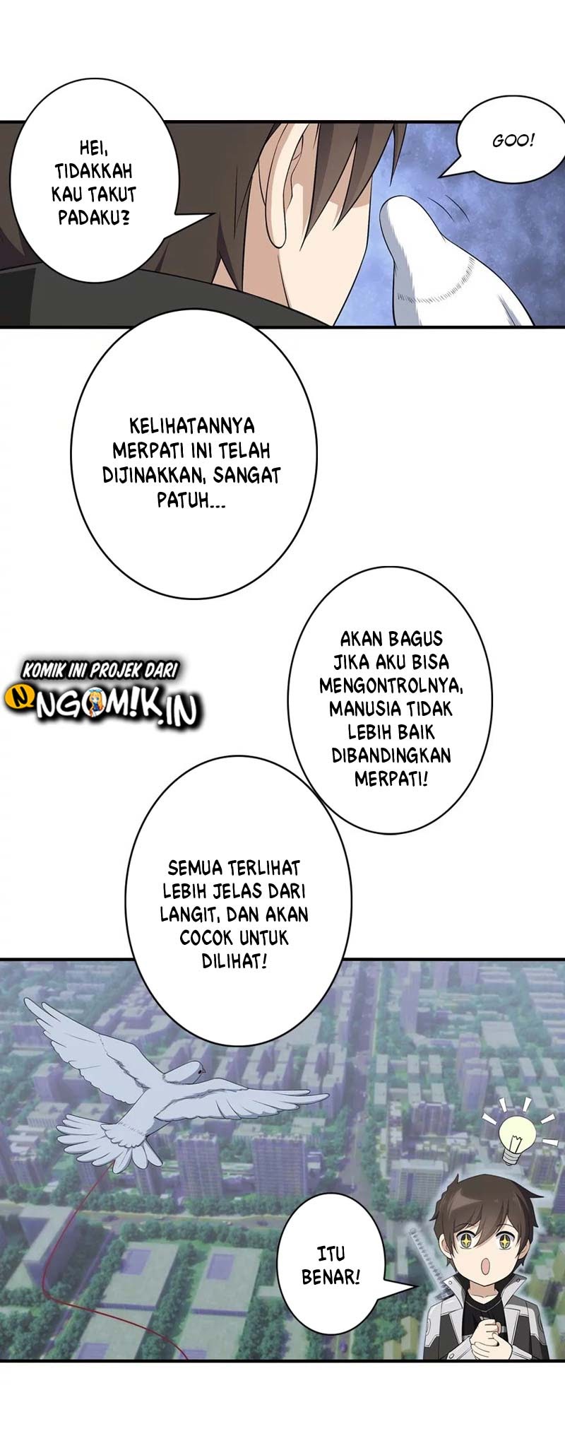 Page 43