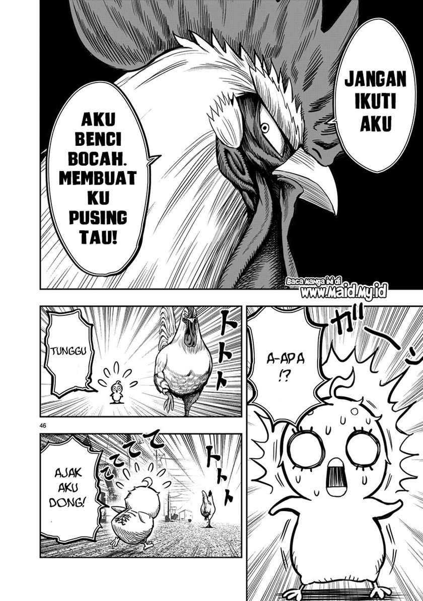 Page 48