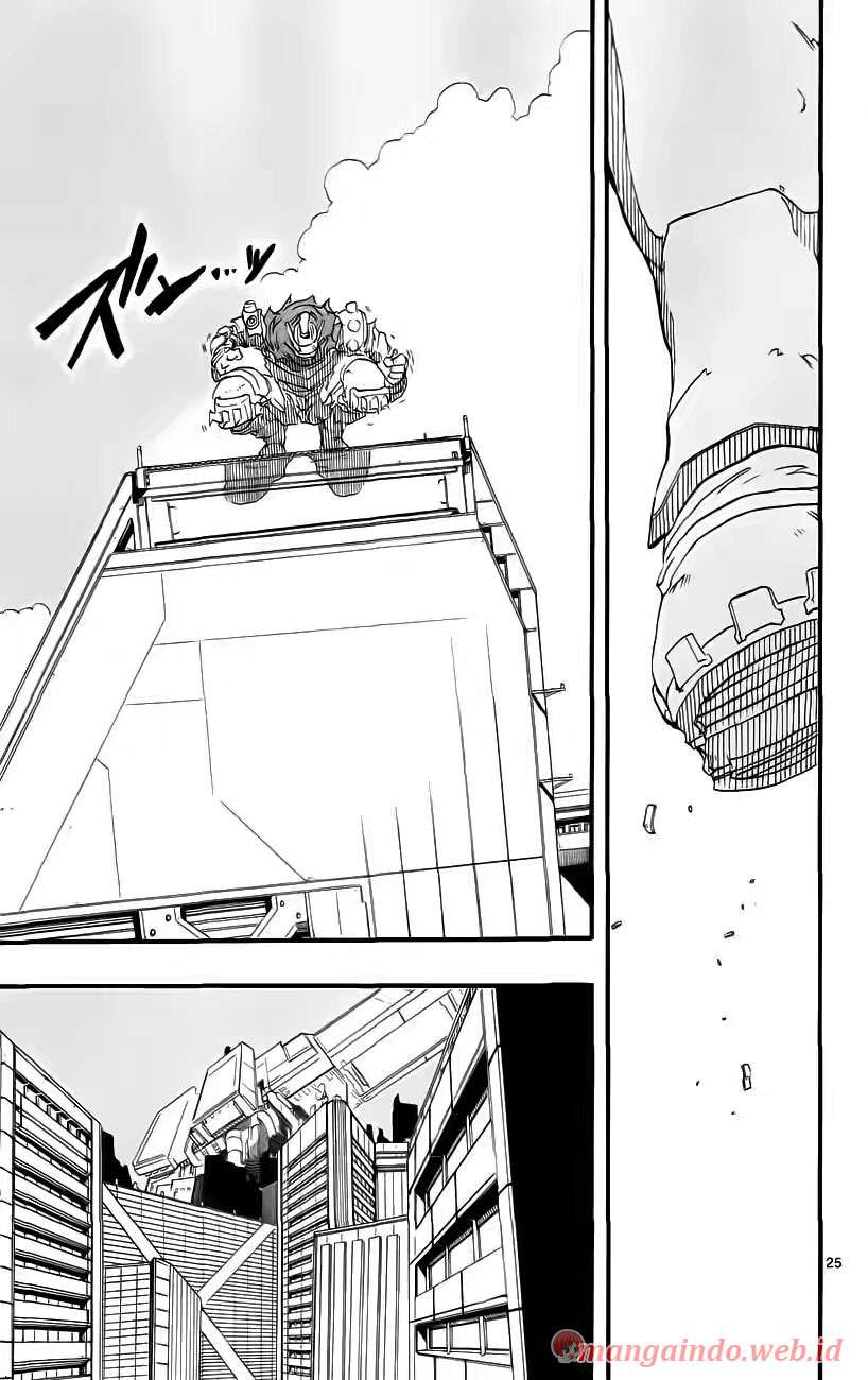 Page 25