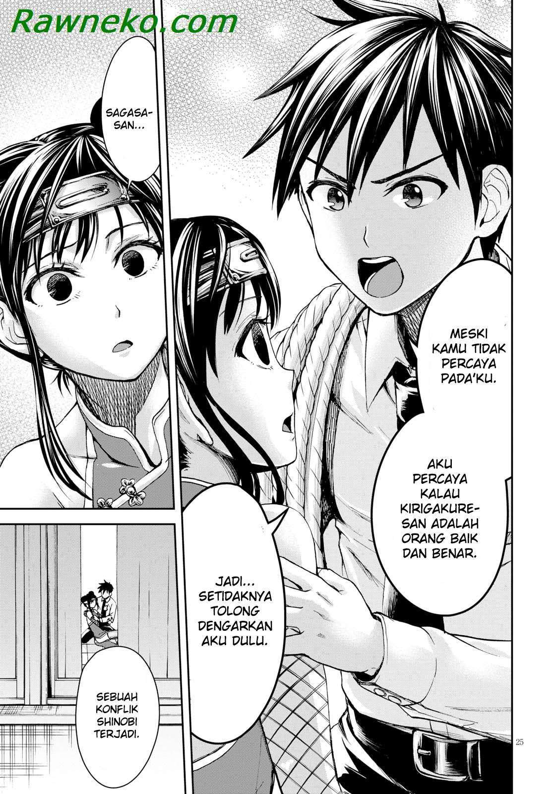 Page 25