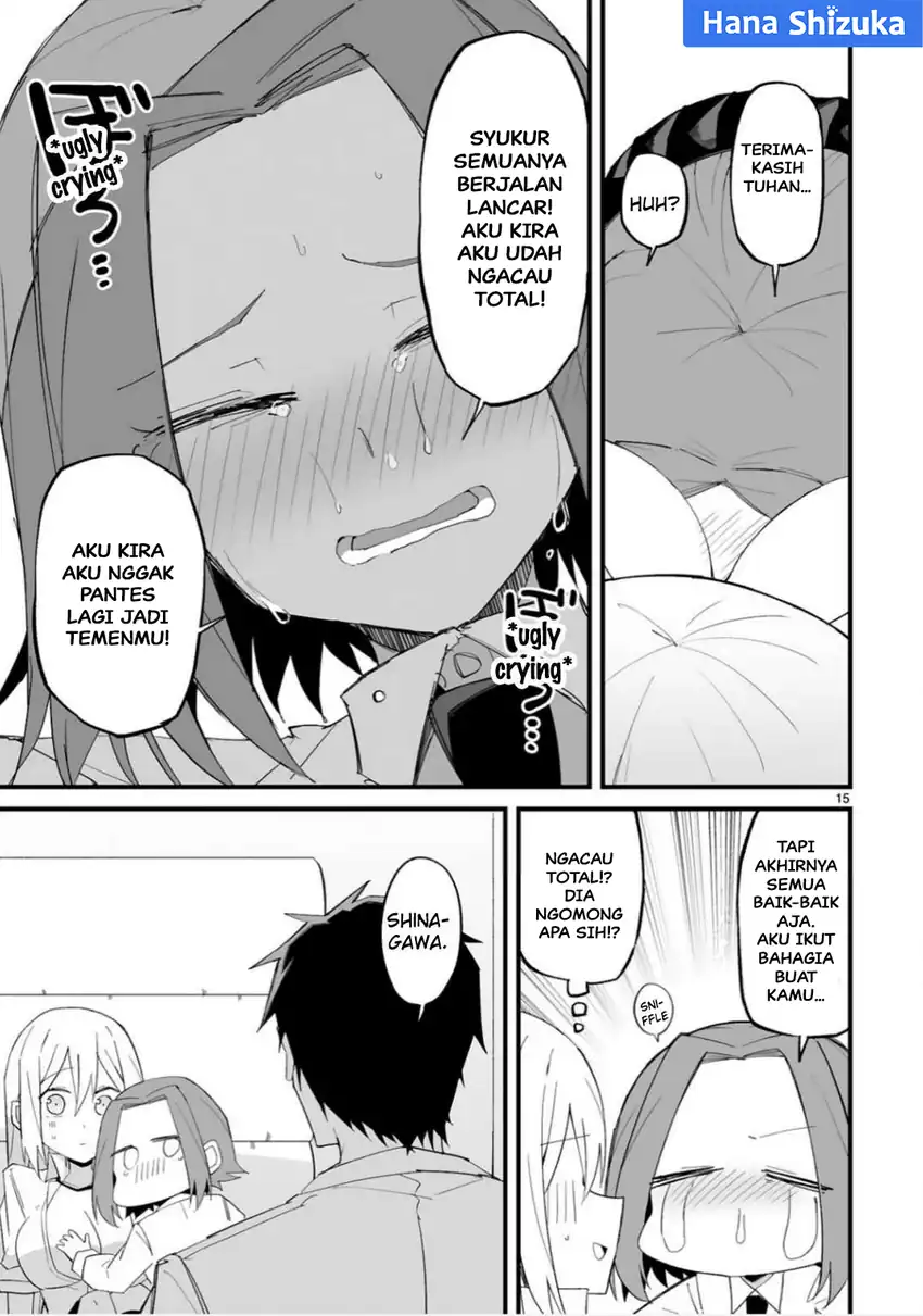 Page 15