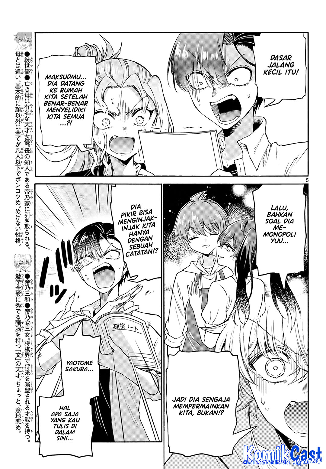 Page 5