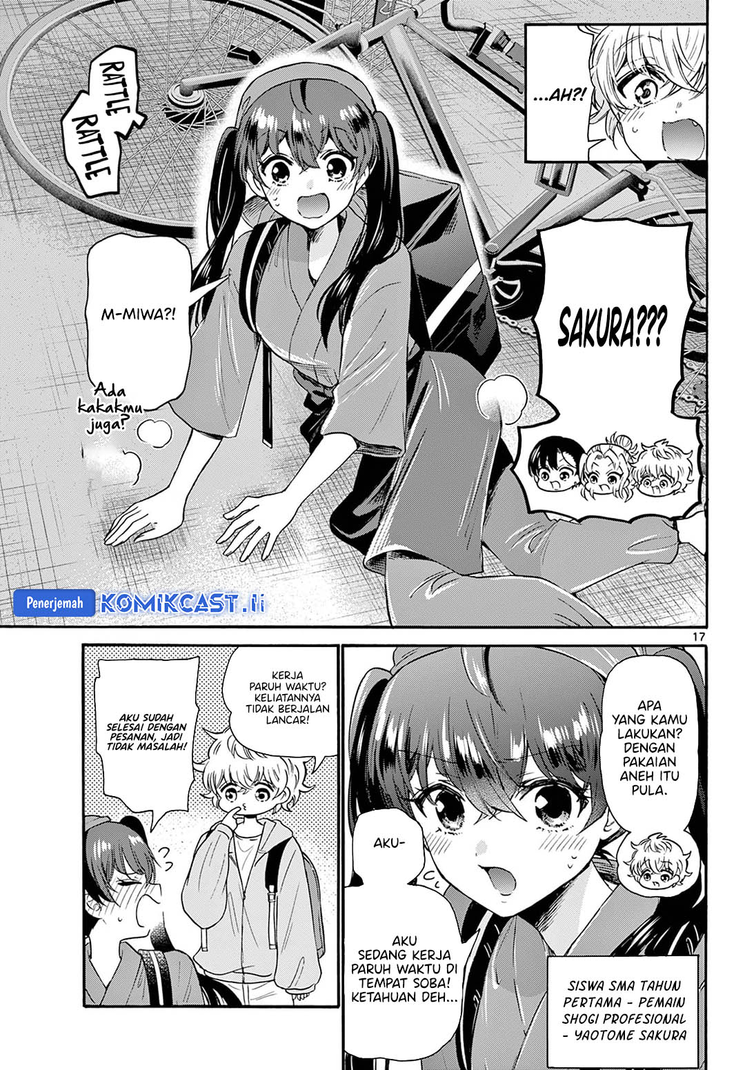 Page 17