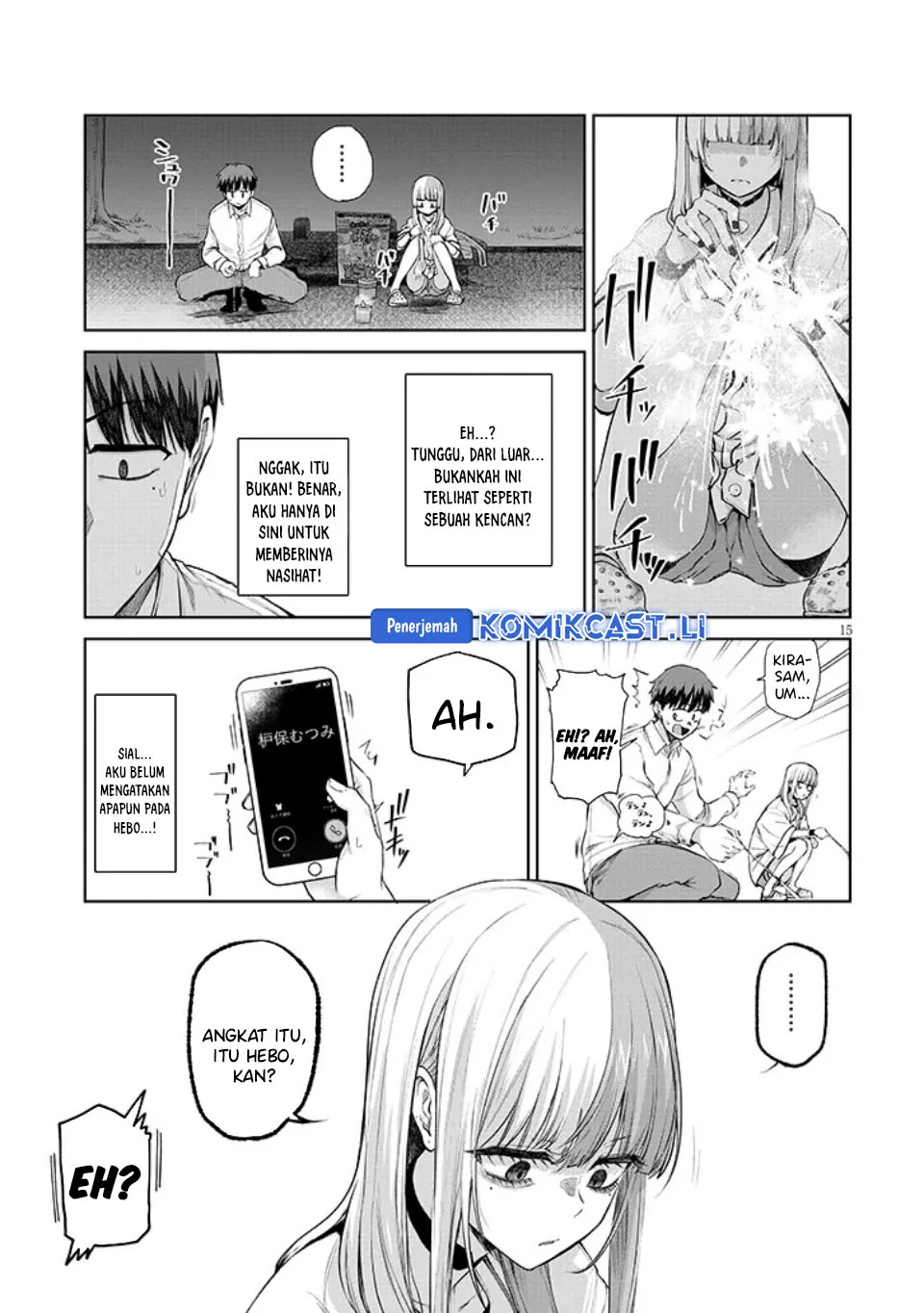 Page 15