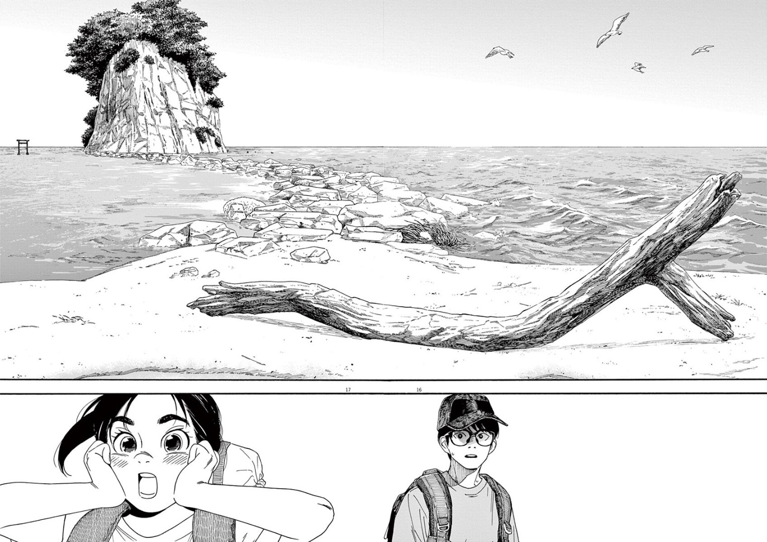 Page 17