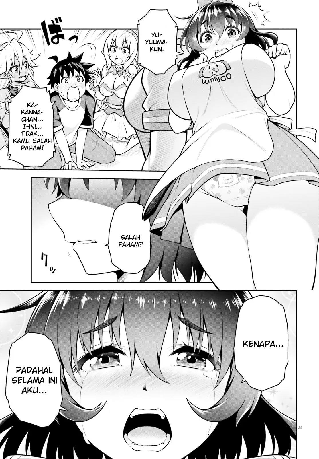 Page 25