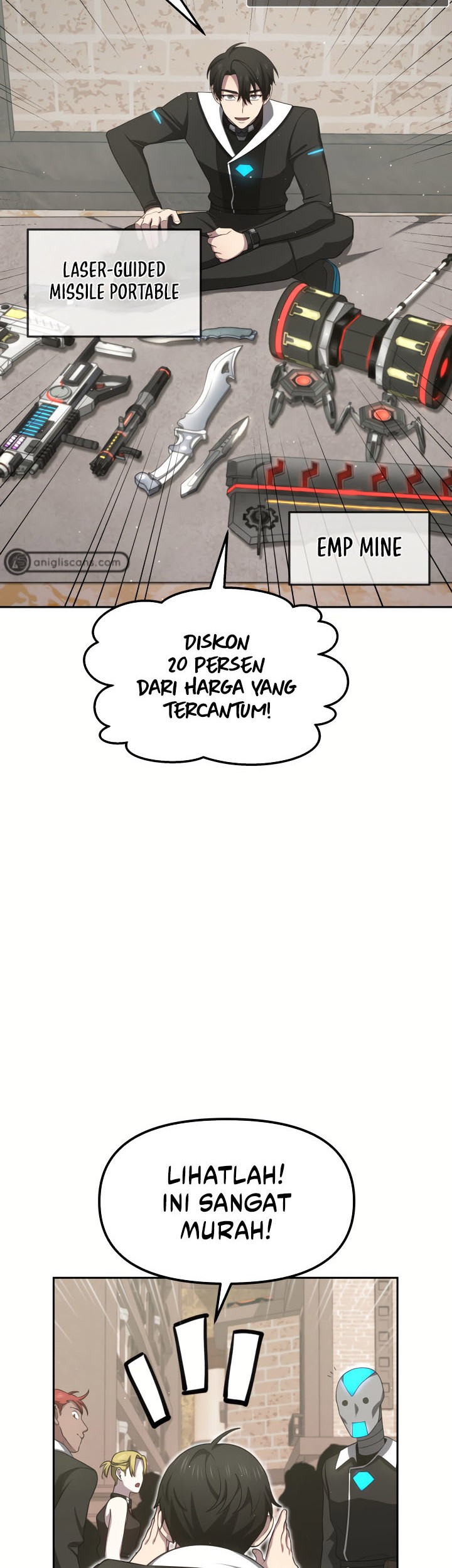 Page 43